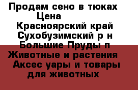 Продам сено в тюках › Цена ­ 1 200 - Красноярский край, Сухобузимский р-н, Большие Пруды п. Животные и растения » Аксесcуары и товары для животных   